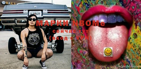 PSILOCYBIN Няндома