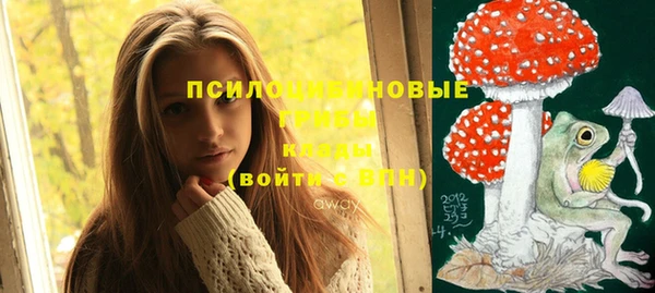jwh Нязепетровск