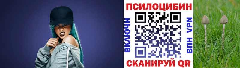 Галлюциногенные грибы MAGIC MUSHROOMS  хочу наркоту  Петровск-Забайкальский 